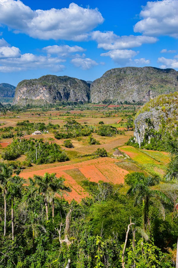 Sierra Leone-quiz: Hur mycket vet du om detta afrikanska land?